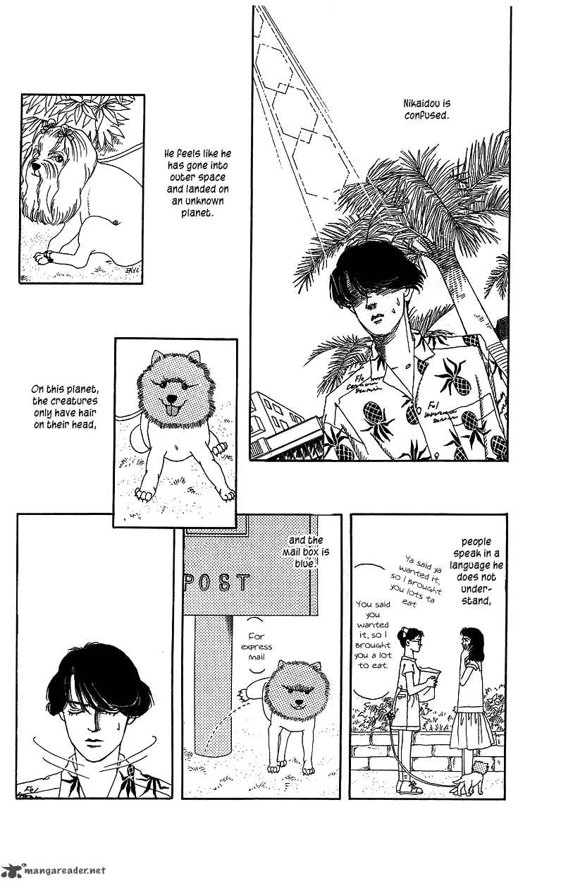 Doubutsu no Oishasan Chapter 39 page 3
