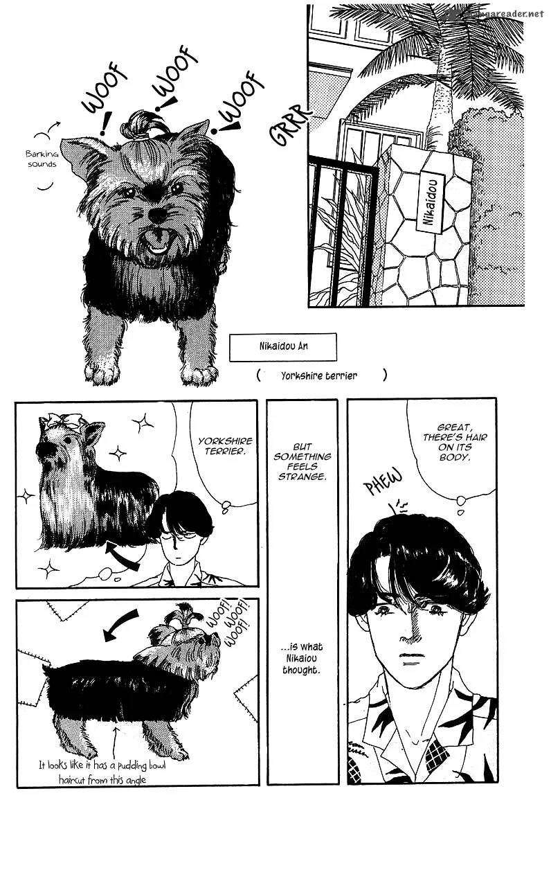 Doubutsu no Oishasan Chapter 39 page 5