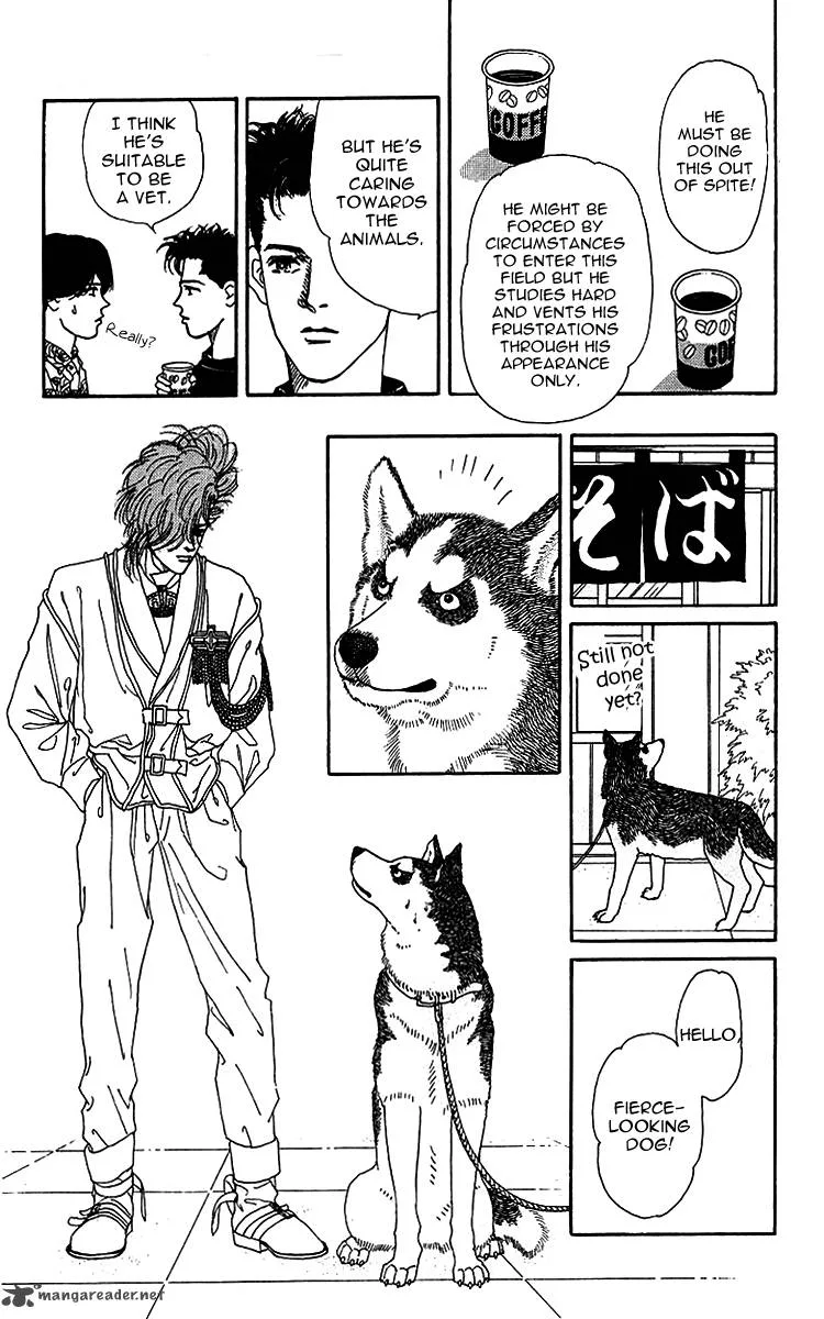 Doubutsu no Oishasan Chapter 41 page 8