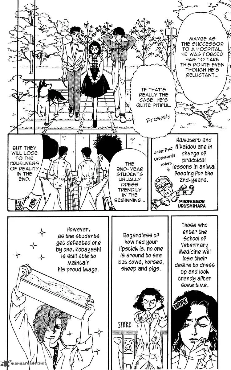 Doubutsu no Oishasan Chapter 41 page 7