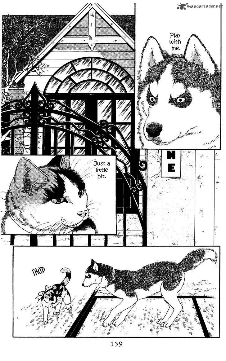 Doubutsu no Oishasan Chapter 42 page 3