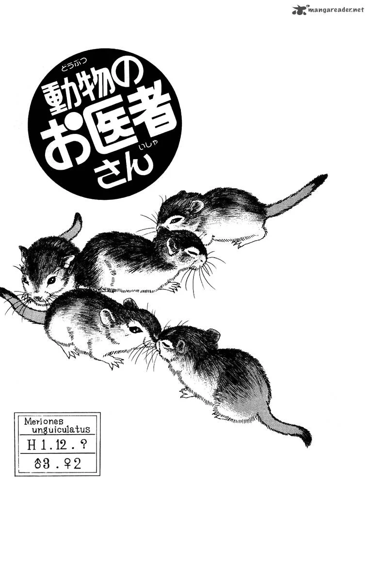Doubutsu no Oishasan Chapter 43 page 1