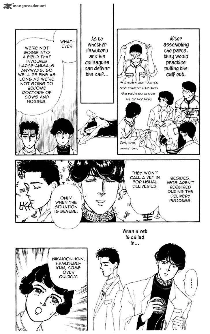 Doubutsu no Oishasan Chapter 46 page 4
