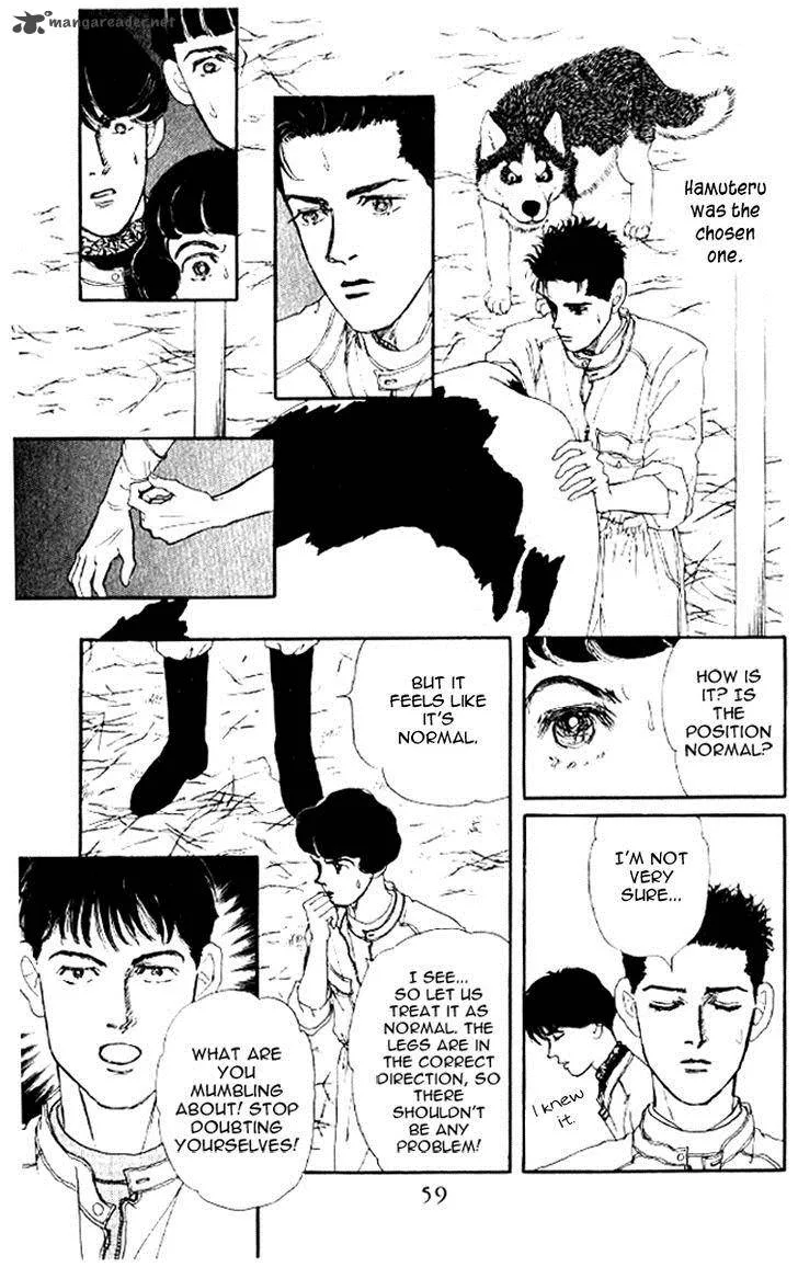Doubutsu no Oishasan Chapter 46 page 13