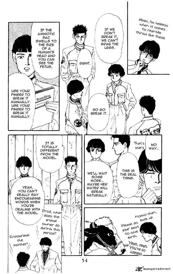 Doubutsu no Oishasan Chapter 46 page 8