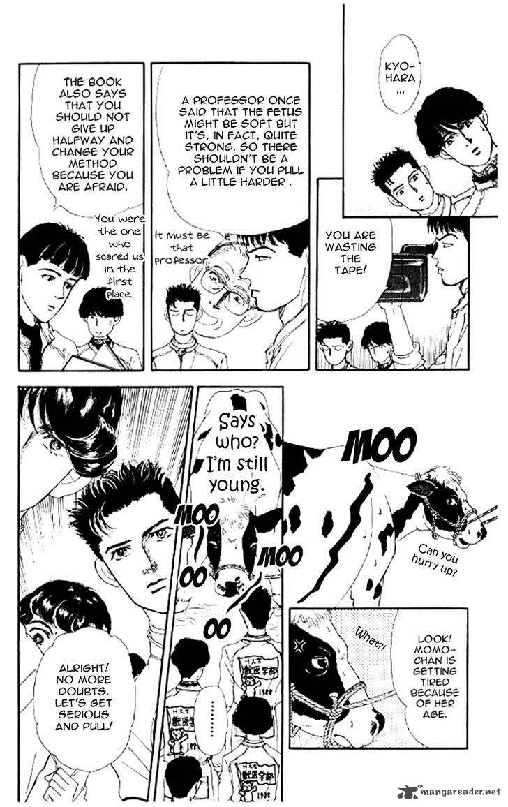 Doubutsu no Oishasan Chapter 46 page 14