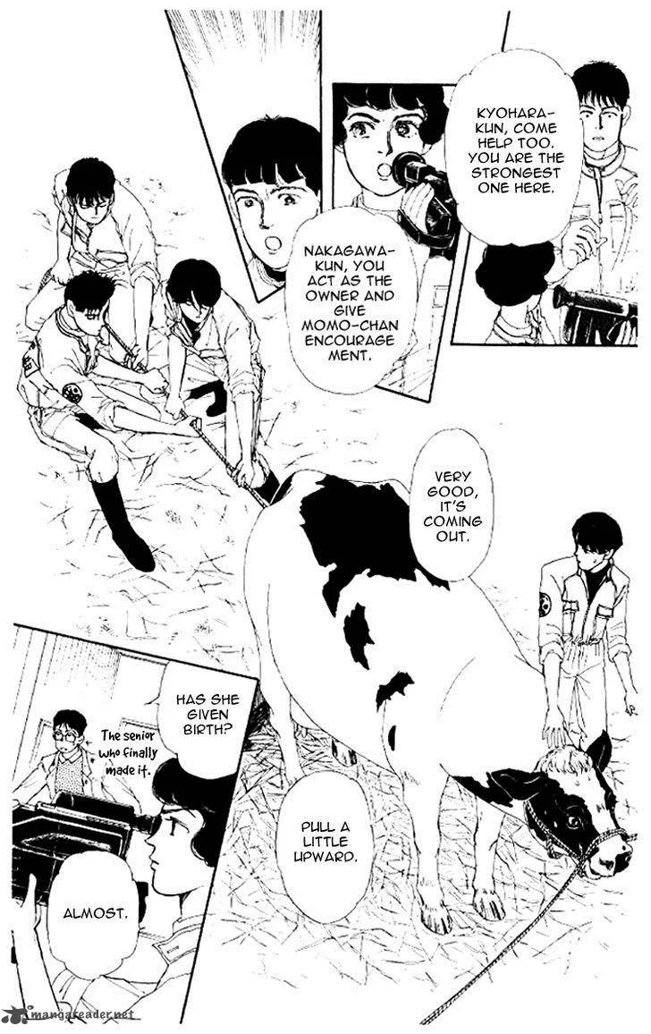 Doubutsu no Oishasan Chapter 46 page 15