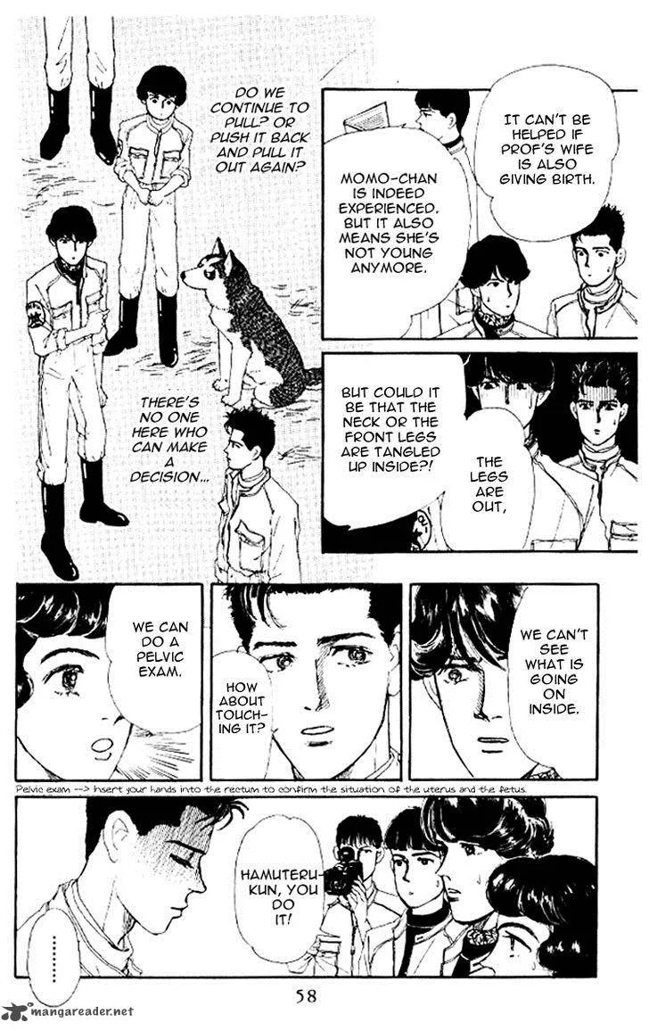 Doubutsu no Oishasan Chapter 46 page 12