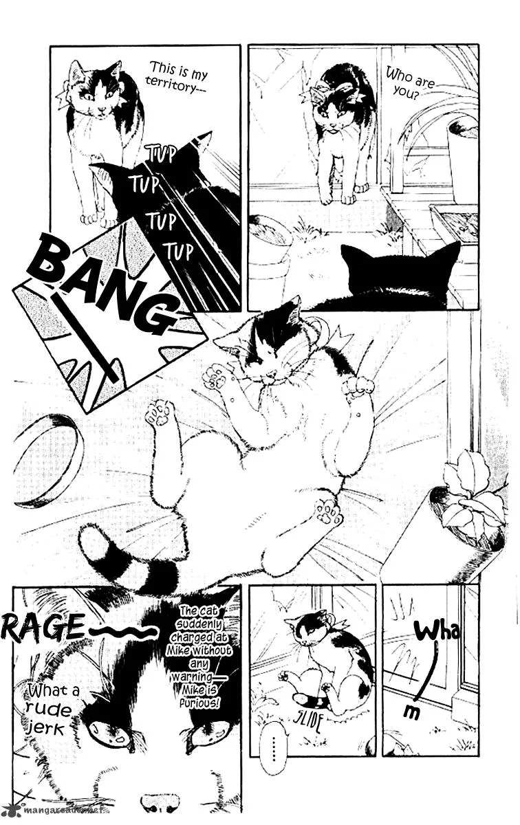 Doubutsu no Oishasan Chapter 50 page 6