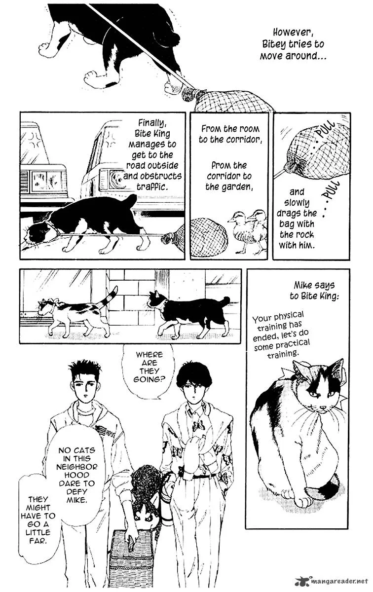 Doubutsu no Oishasan Chapter 50 page 14