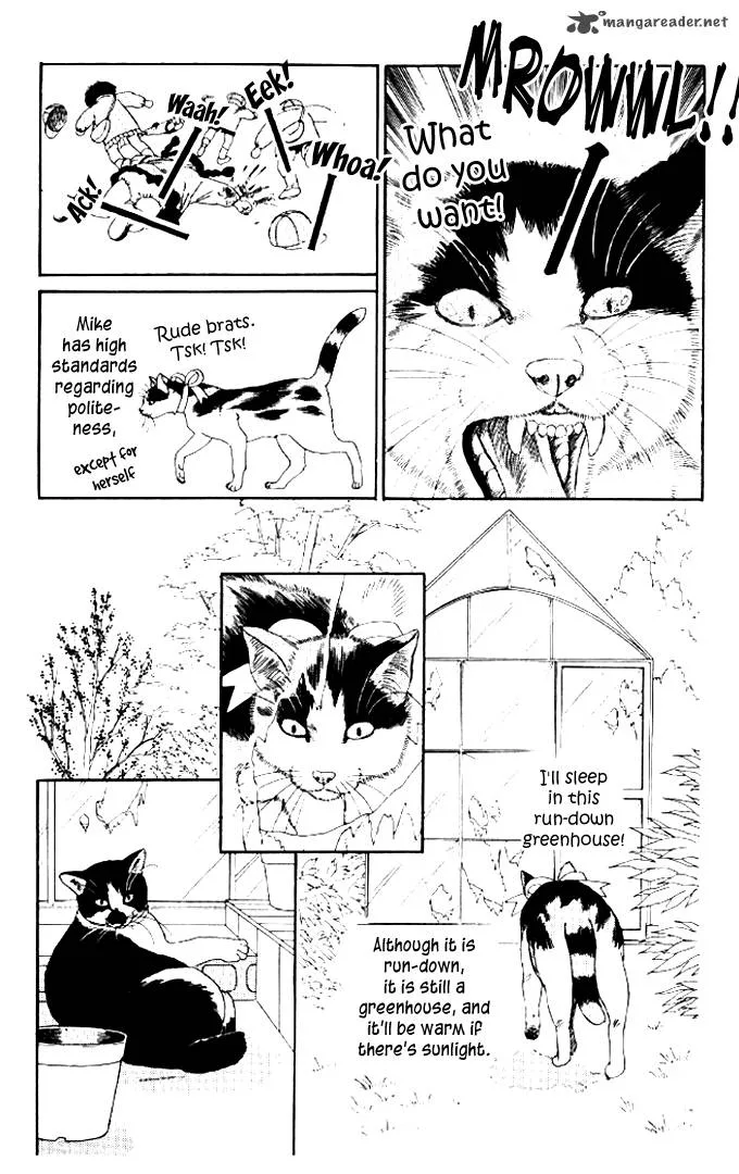 Doubutsu no Oishasan Chapter 50 page 5