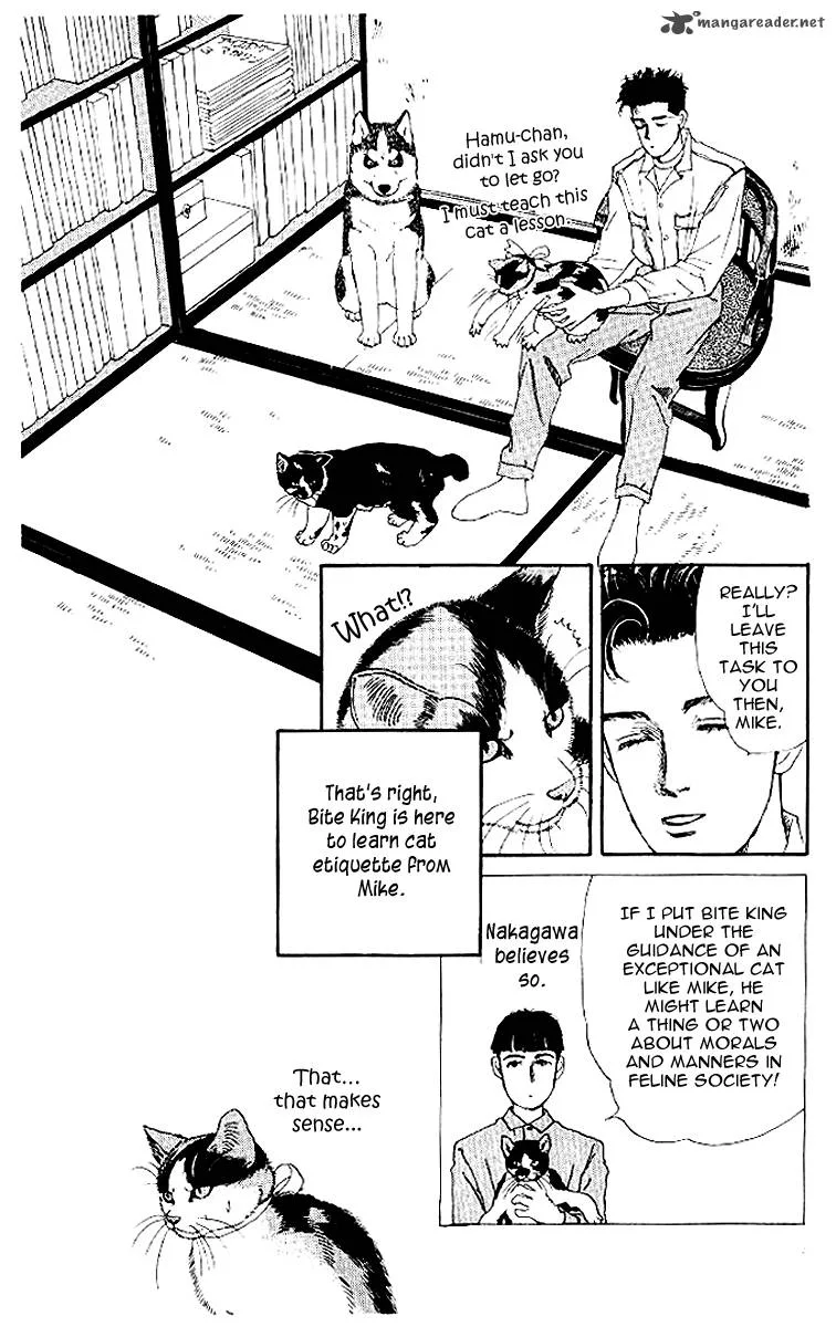 Doubutsu no Oishasan Chapter 50 page 9