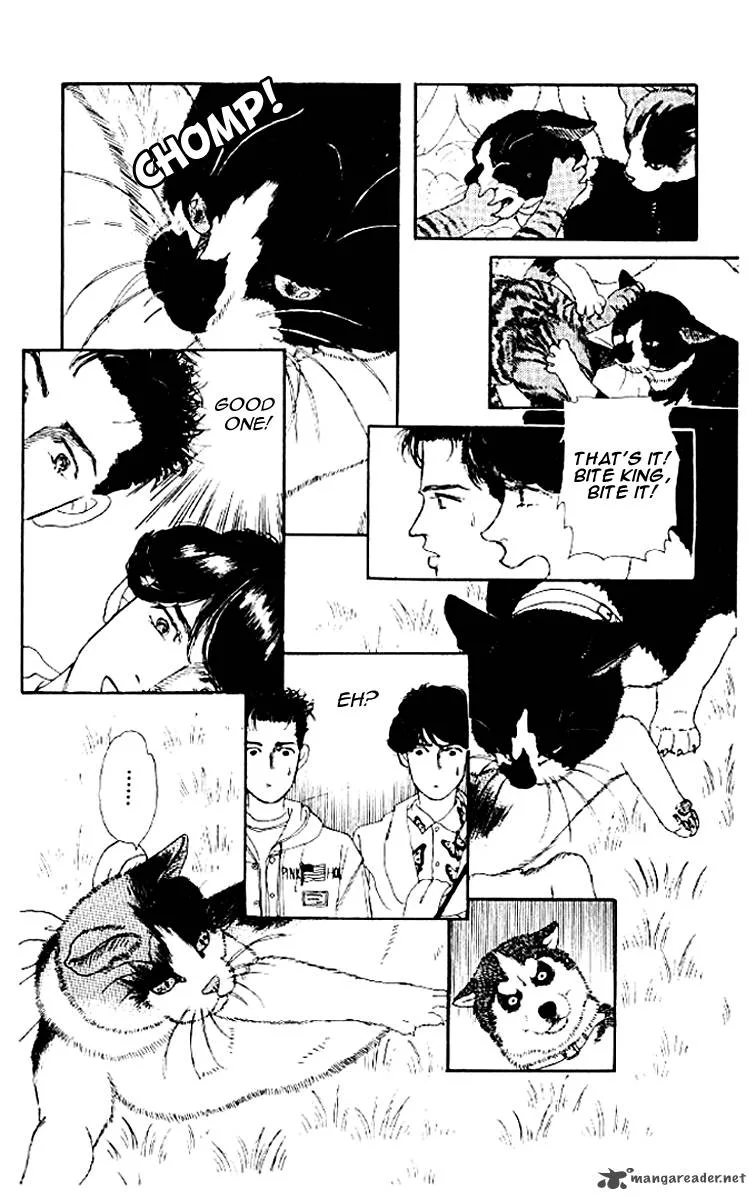 Doubutsu no Oishasan Chapter 50 page 18