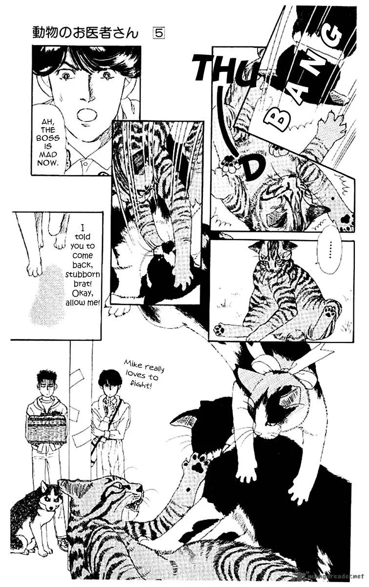 Doubutsu no Oishasan Chapter 50 page 17