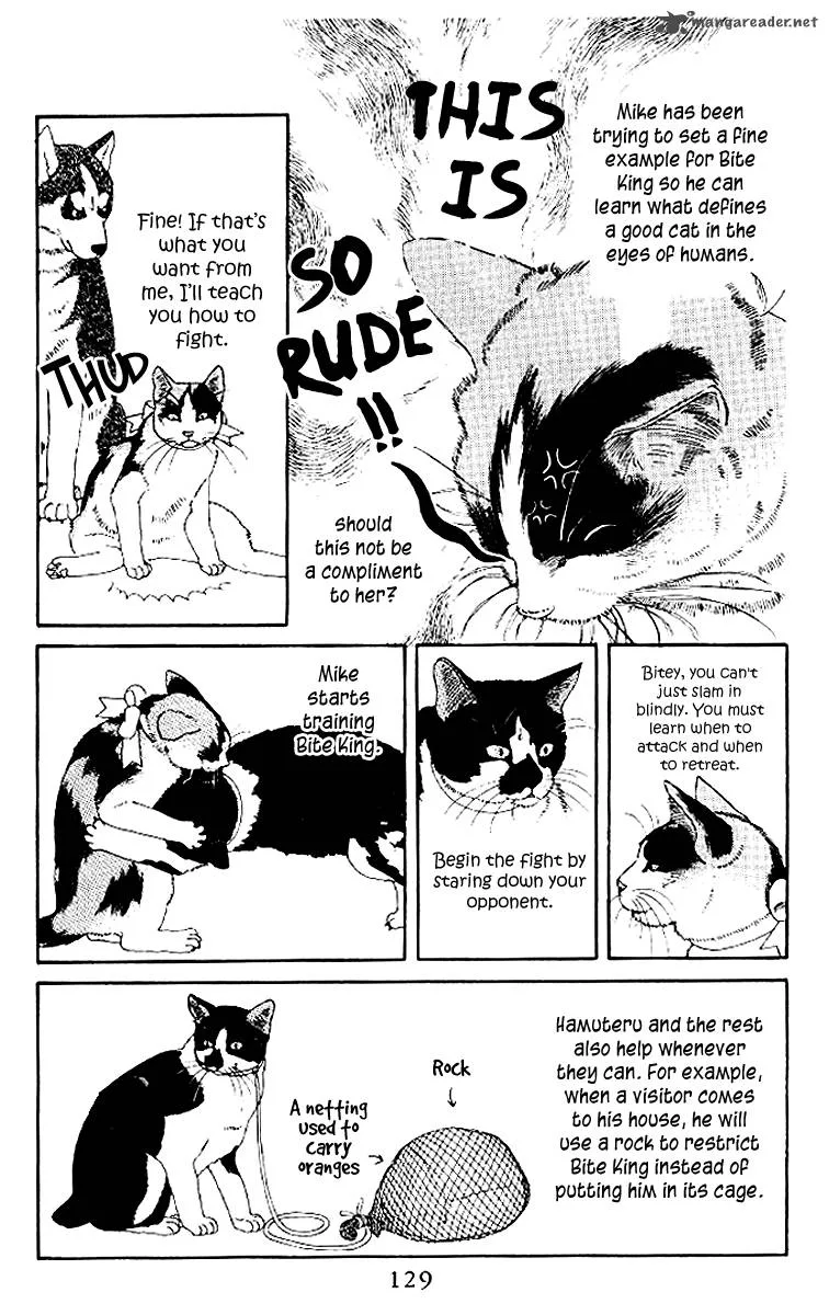 Doubutsu no Oishasan Chapter 50 page 13
