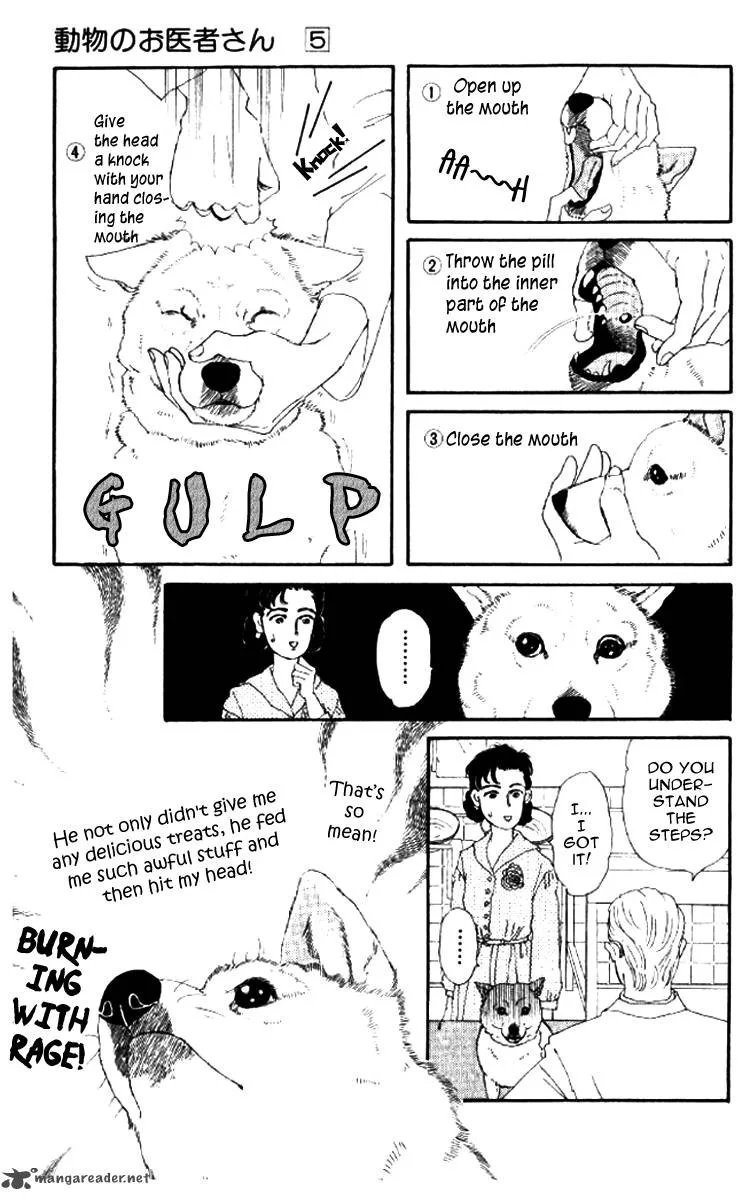 Doubutsu no Oishasan Chapter 52 page 16