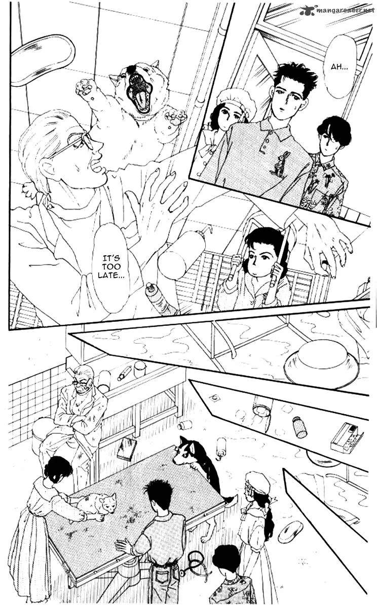 Doubutsu no Oishasan Chapter 52 page 17
