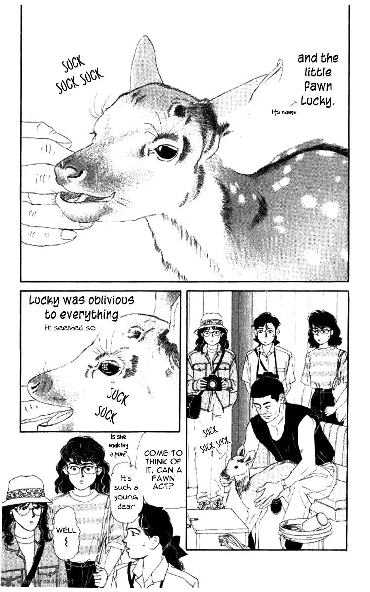 Doubutsu no Oishasan Chapter 52 page 24