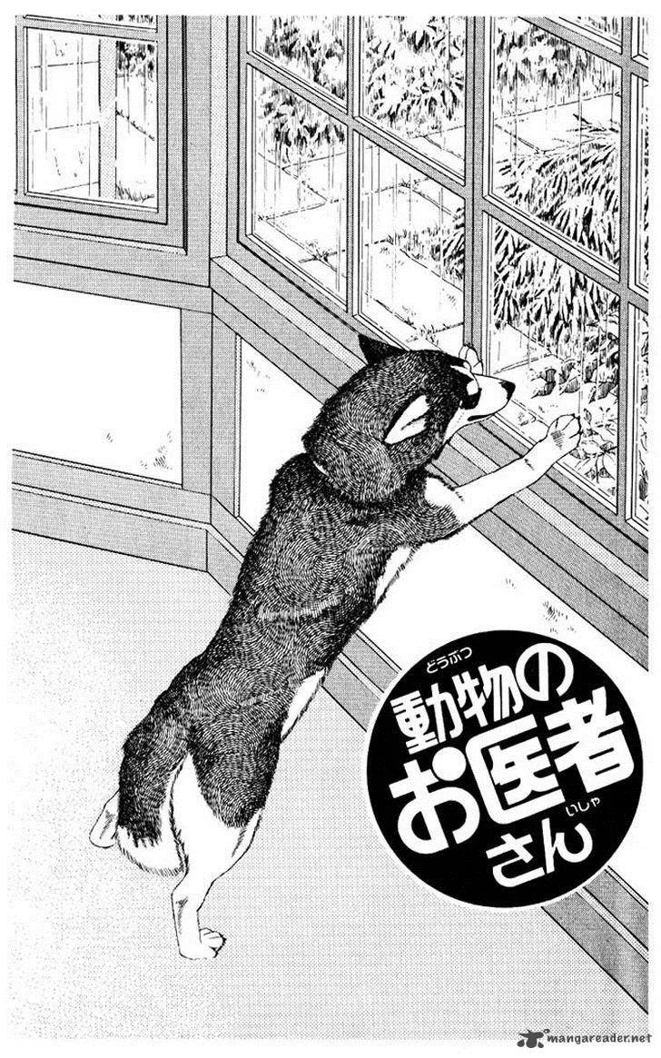 Doubutsu no Oishasan Chapter 53 page 3