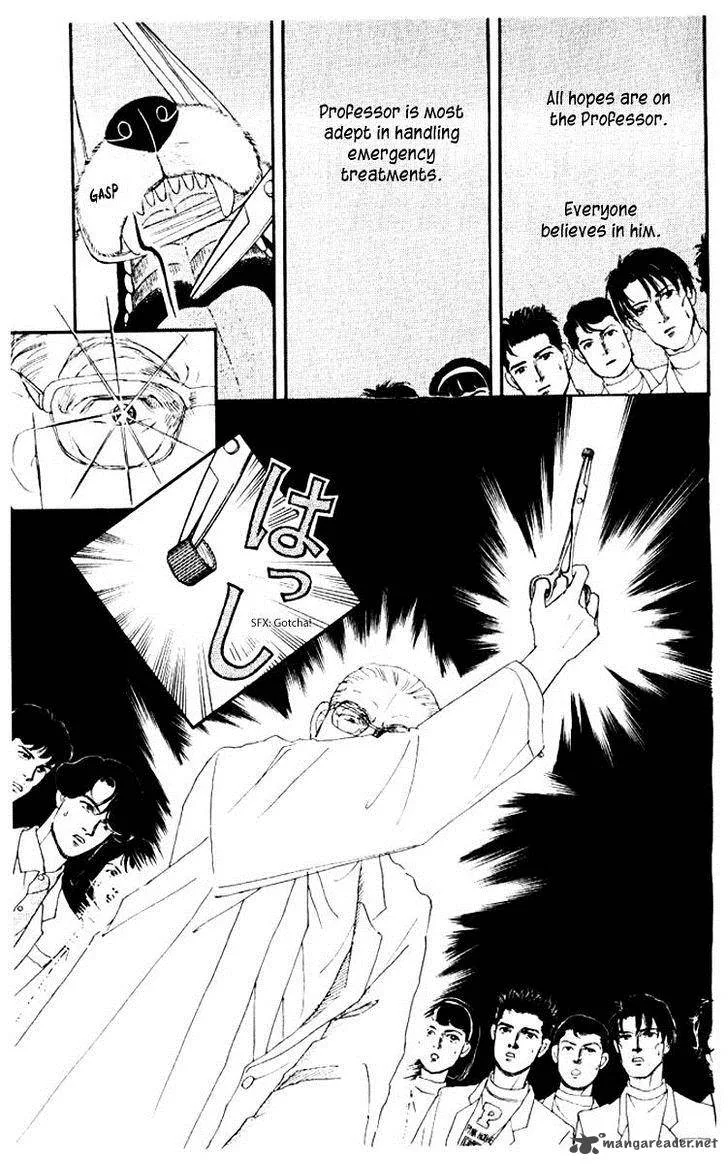 Doubutsu no Oishasan Chapter 53 page 17