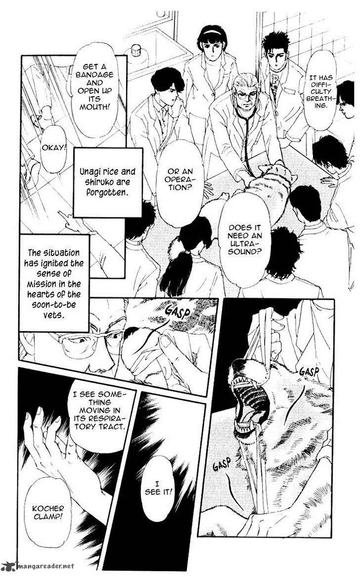 Doubutsu no Oishasan Chapter 53 page 16