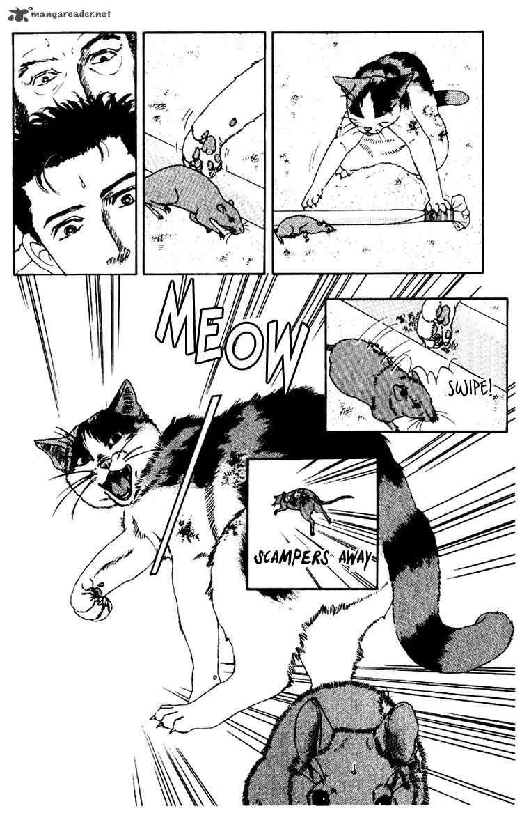 Doubutsu no Oishasan Chapter 54 page 17