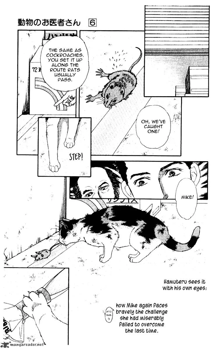 Doubutsu no Oishasan Chapter 54 page 16