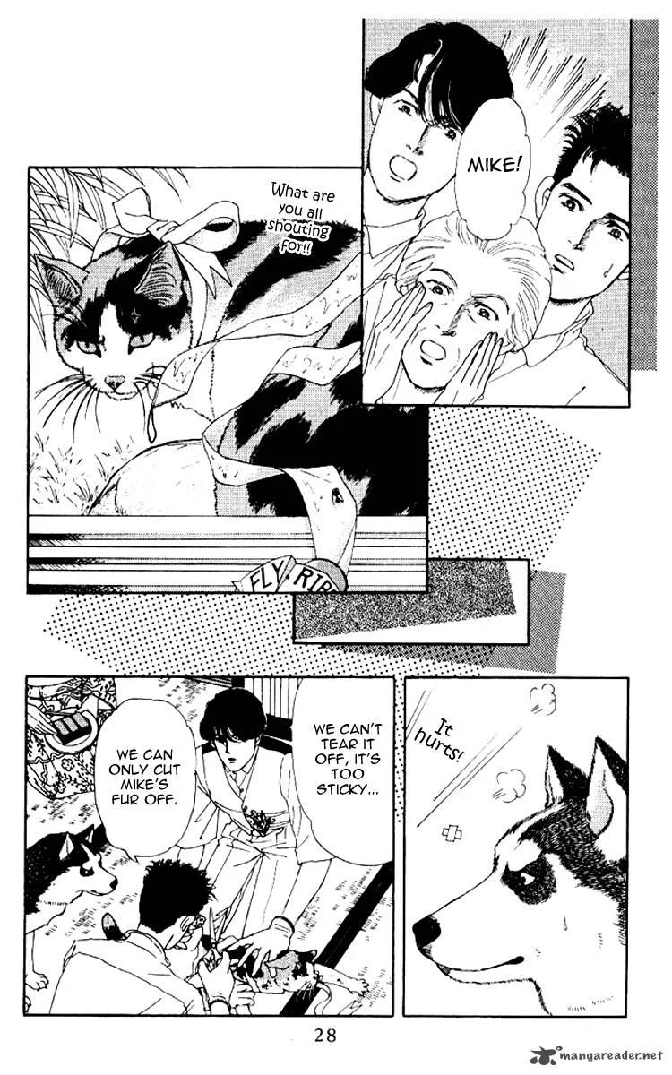 Doubutsu no Oishasan Chapter 54 page 5