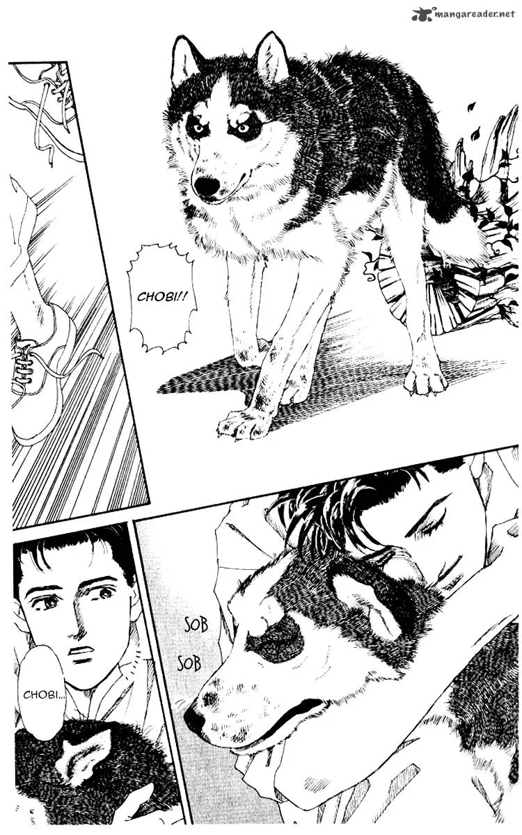 Doubutsu no Oishasan Chapter 55 page 18