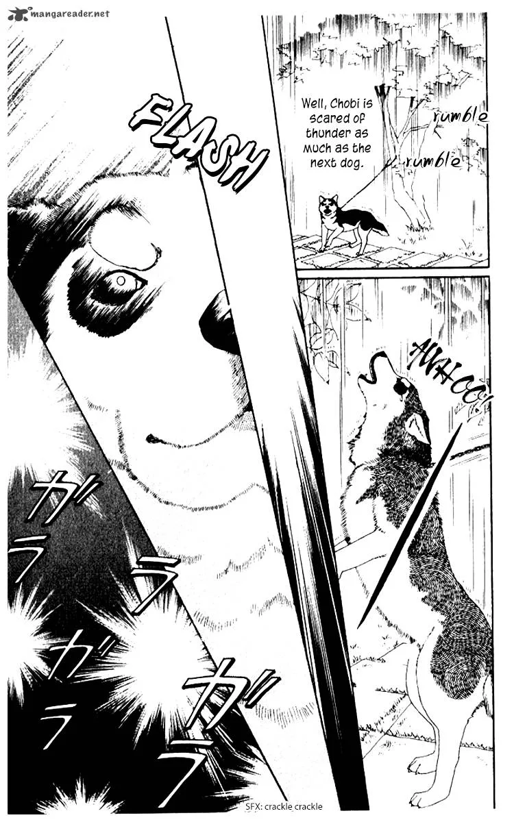 Doubutsu no Oishasan Chapter 55 page 7