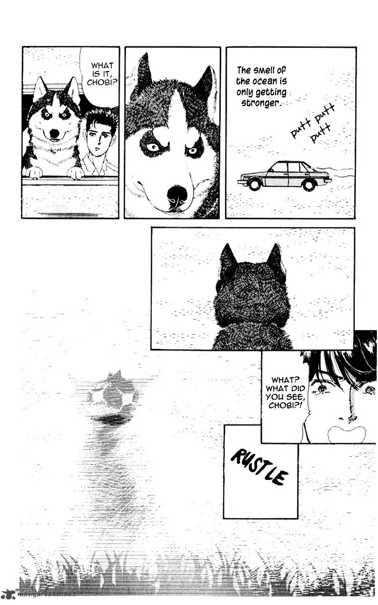 Doubutsu no Oishasan Chapter 56 page 13