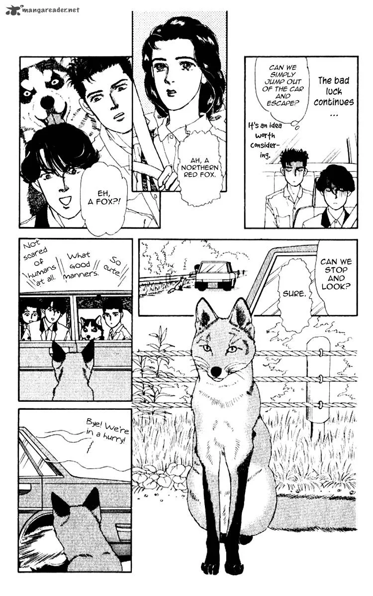 Doubutsu no Oishasan Chapter 56 page 8