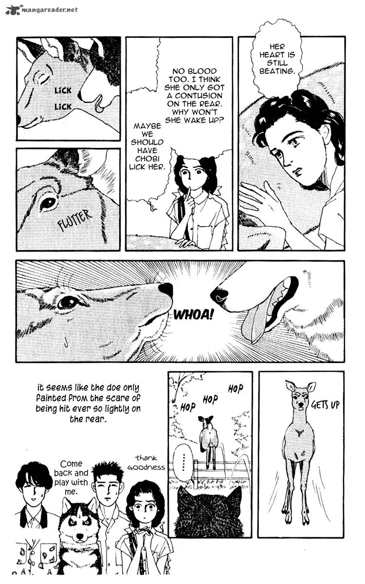 Doubutsu no Oishasan Chapter 56 page 17