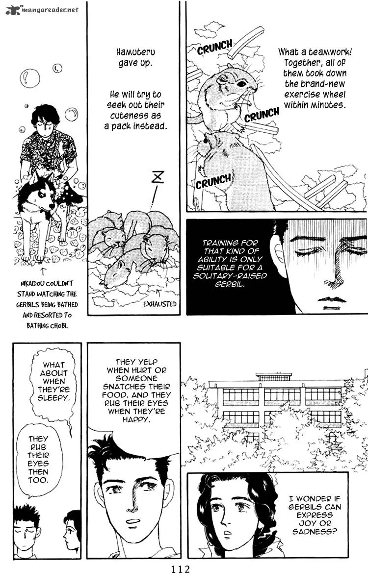 Doubutsu no Oishasan Chapter 58 page 17