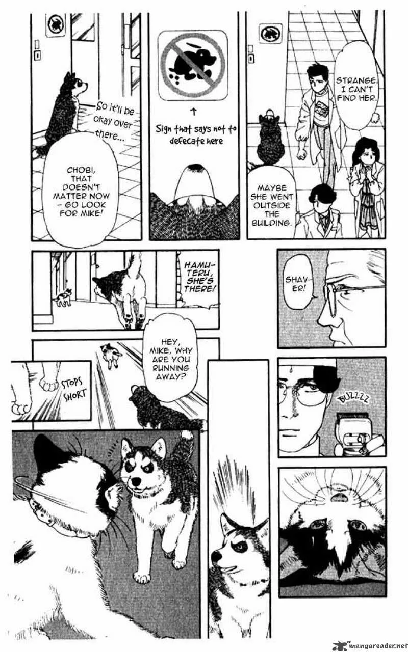 Doubutsu no Oishasan Chapter 6 page 13