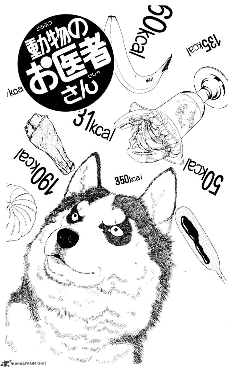 Doubutsu no Oishasan Chapter 62 page 2
