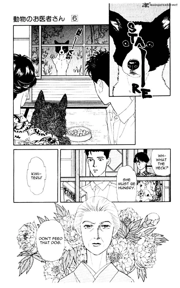 Doubutsu no Oishasan Chapter 62 page 4