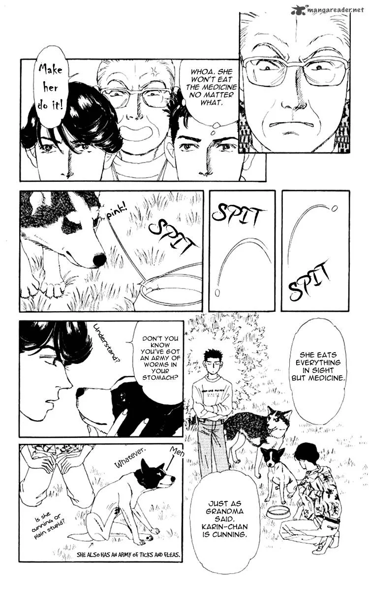 Doubutsu no Oishasan Chapter 62 page 13