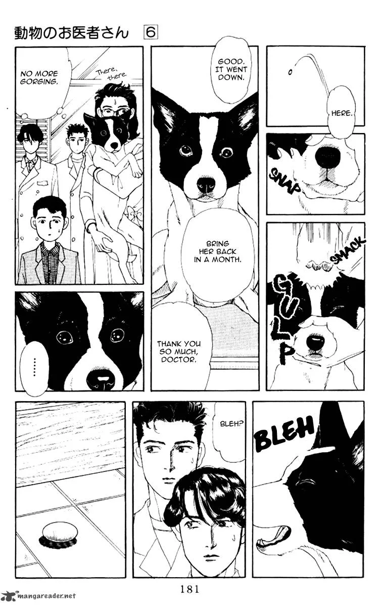Doubutsu no Oishasan Chapter 62 page 12