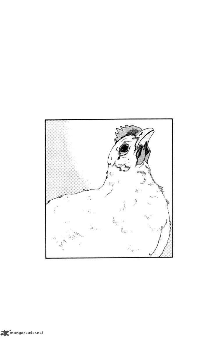 Doubutsu no Oishasan Chapter 65 page 21