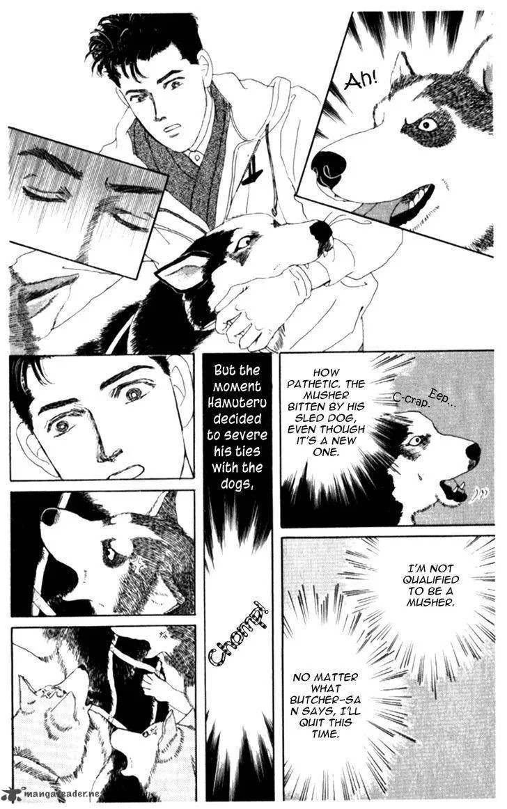 Doubutsu no Oishasan Chapter 66 page 19
