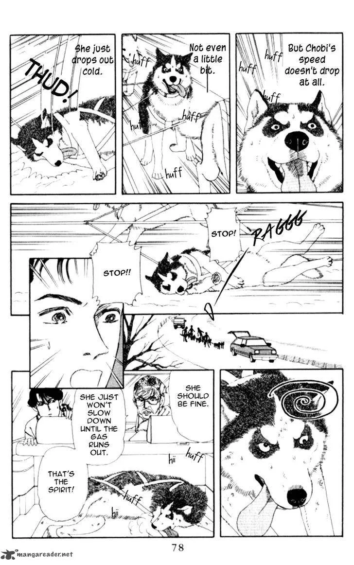 Doubutsu no Oishasan Chapter 66 page 13