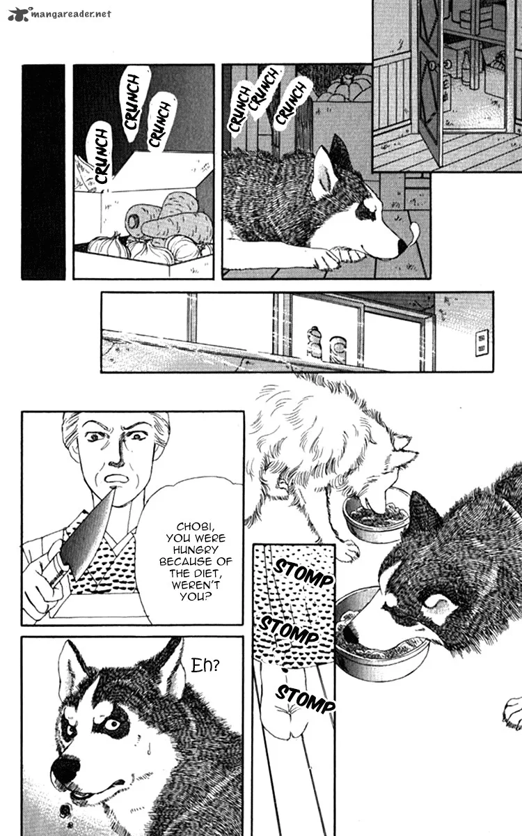 Doubutsu no Oishasan Chapter 71 page 14