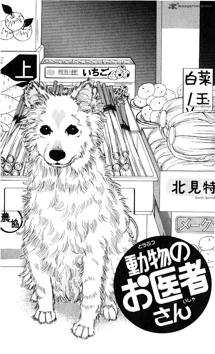 Doubutsu no Oishasan Chapter 71 page 3