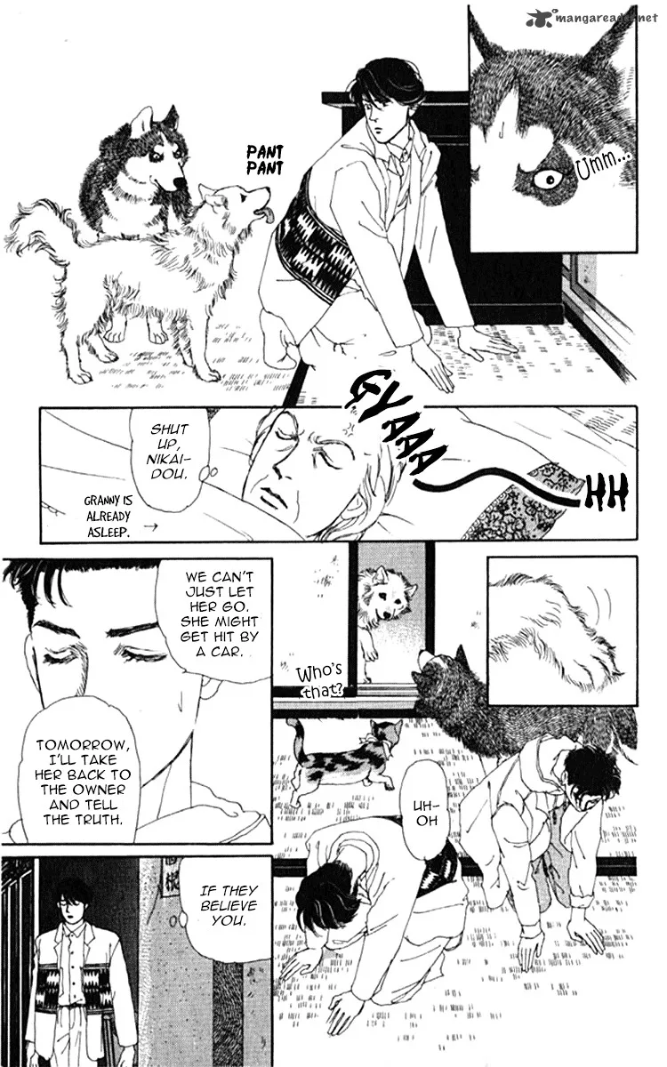 Doubutsu no Oishasan Chapter 71 page 13