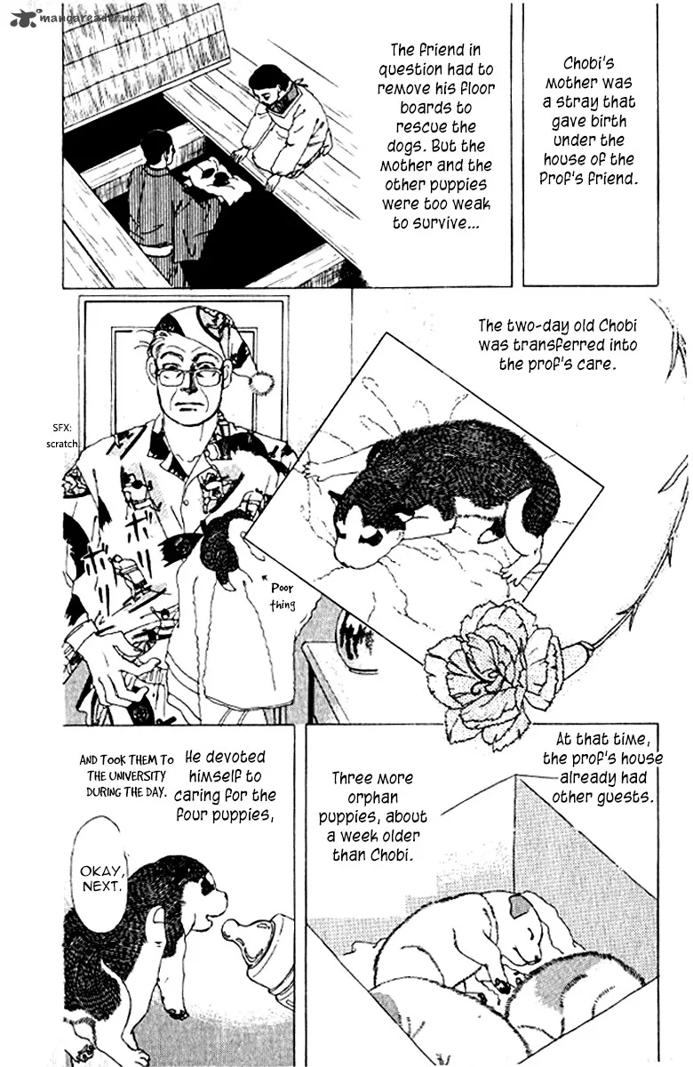 Doubutsu no Oishasan Chapter 72 page 13