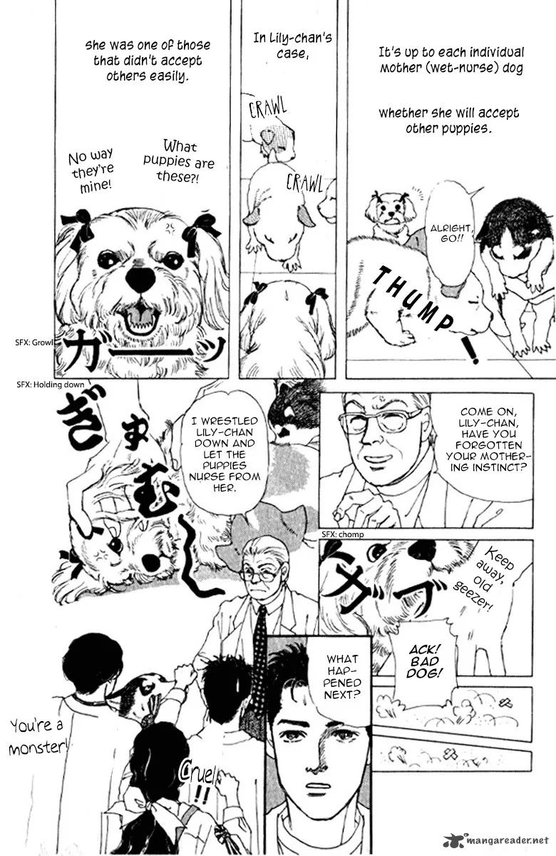 Doubutsu no Oishasan Chapter 72 page 17