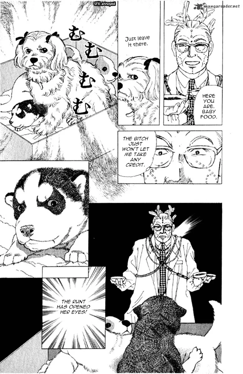 Doubutsu no Oishasan Chapter 72 page 22