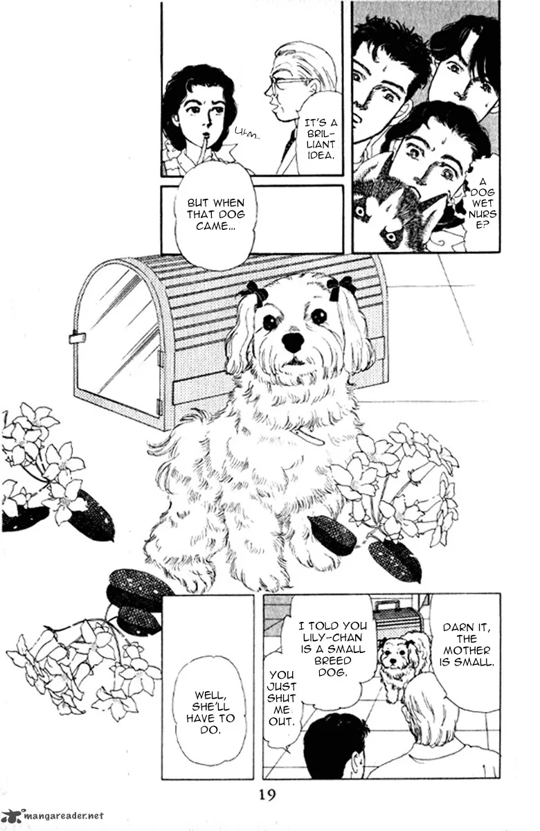 Doubutsu no Oishasan Chapter 72 page 16