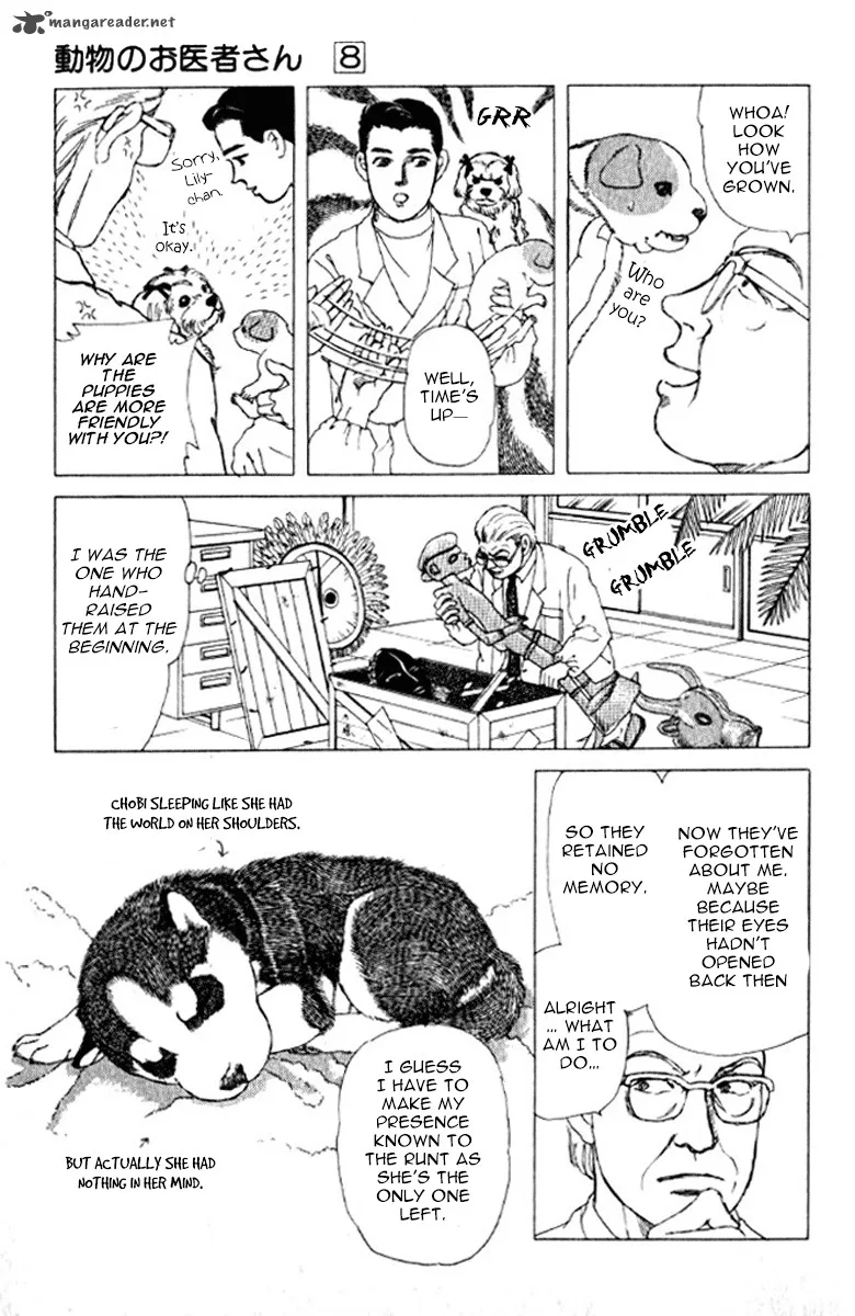 Doubutsu no Oishasan Chapter 72 page 20